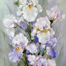 Схема вышивки «irysy»