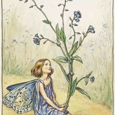 Схема вышивки «Flor niña 2»