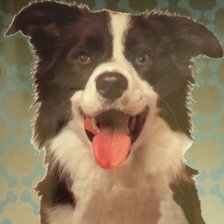 Схема вышивки «№2266981»