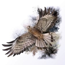 Схема вышивки «Falcon»