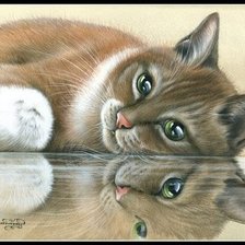 Схема вышивки «GATO.»