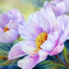 Схема вышивки «Пионы»