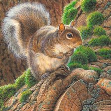 Схема вышивки «№2267803»