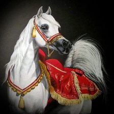 Схема вышивки «Cavalo ,árabe.»