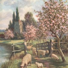 Схема вышивки «ovejas»