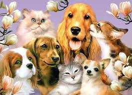 Домашние любимцы - кот, собака - оригинал