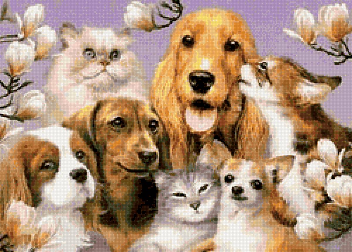 Домашние любимцы - кот, собака - предпросмотр