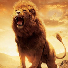 Схема вышивки «Аслан»