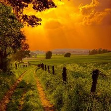 Схема вышивки «Лето»