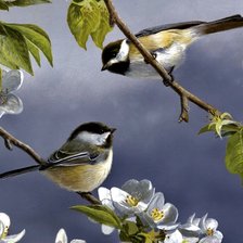 Схема вышивки «Birds»