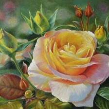 Схема вышивки «Роза»