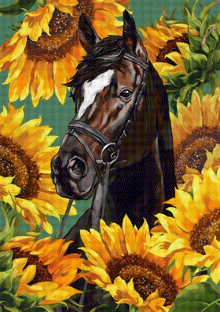 Лошадь в подсолнухах - предпросмотр
