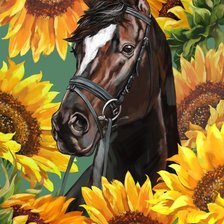 Лошадь в подсолнухах