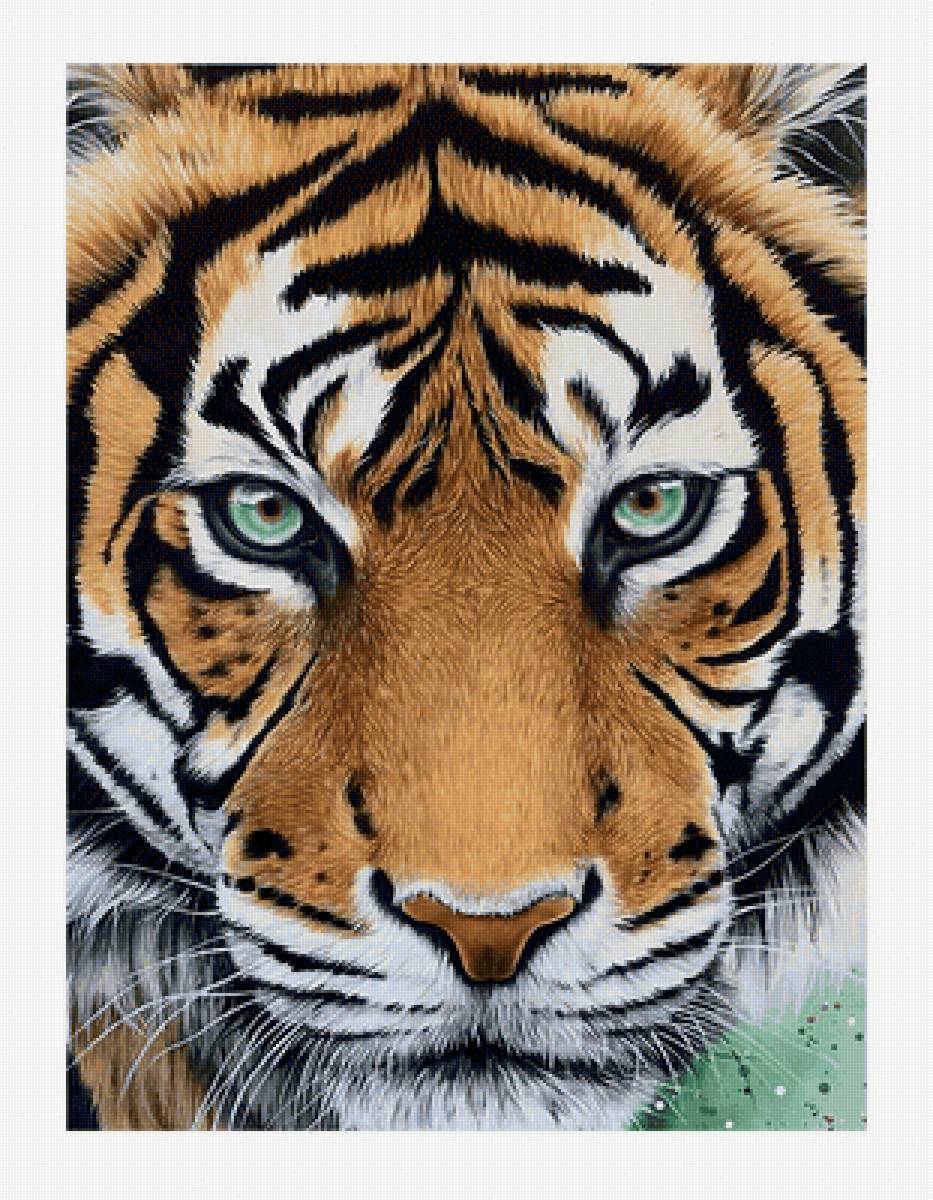 №2268955 - животные, тигр, хищники, тигры - предпросмотр