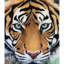 Схема вышивки «№2268955»