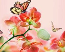 Схема вышивки «Природа»