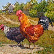 Схема вышивки «В деревне»