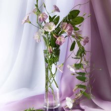 Схема вышивки «Вьюнки»