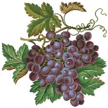 Схема вышивки «Виноград»