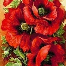 Схема вышивки «maki»