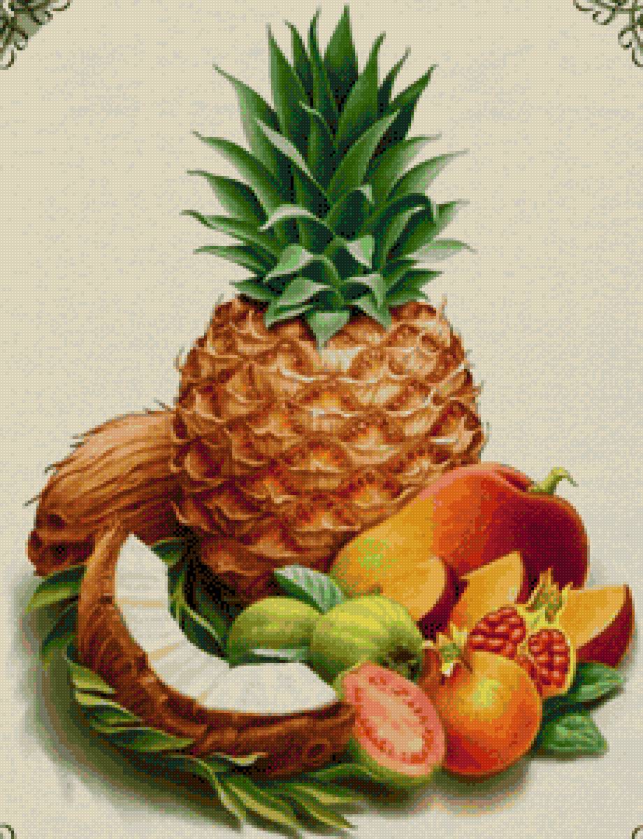 coptel - bodegon - предпросмотр