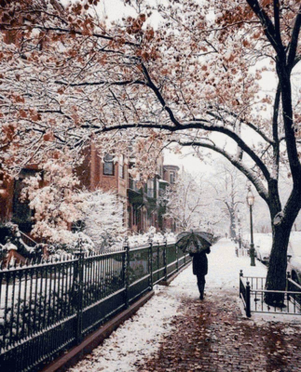 Первый снег - снег, улица, город - предпросмотр