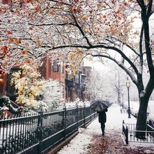 Схема вышивки «Первый снег»