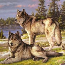 Схема вышивки «Волки»