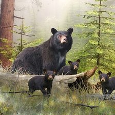 Схема вышивки «Медведи»