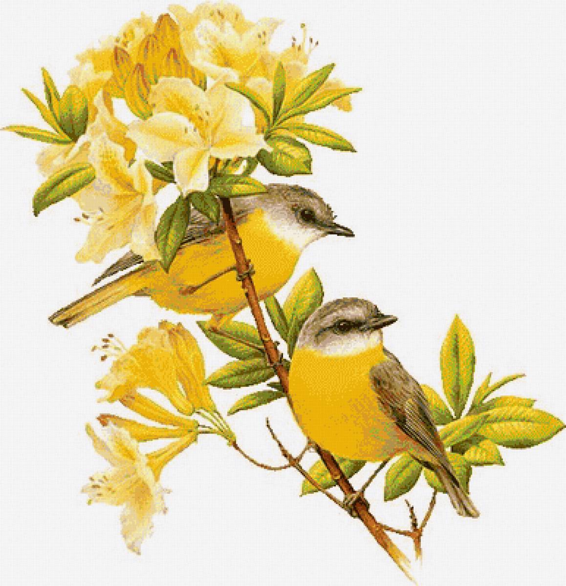 птицы - цветы, ветка, птицы - предпросмотр