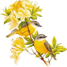 Схема вышивки «птицы»