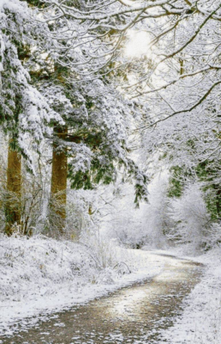 Пейзаж - лес, зима, пейзаж, дорога - предпросмотр