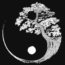 Схема вышивки «Инь Ян»