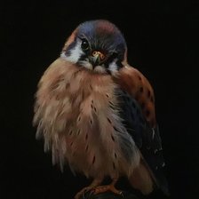 Схема вышивки «Птенчик»