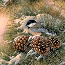 Схема вышивки «Chickadee»