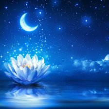 Схема вышивки «Природа»