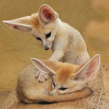 Схема вышивки «Животные»