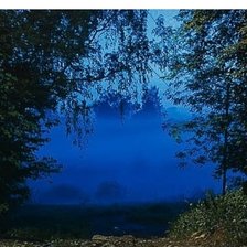 Схема вышивки «Туман в лесу»