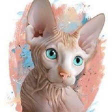 Схема вышивки «Gato.»