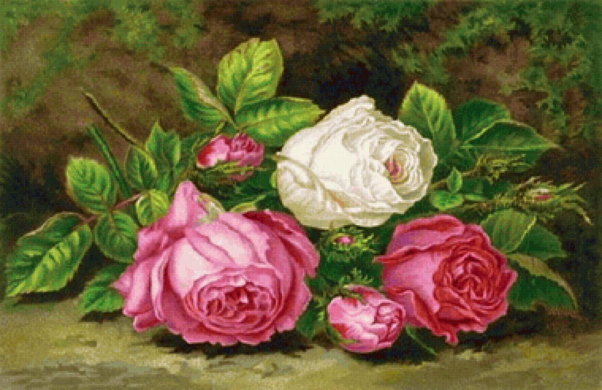 Boque de rosas. - flores.rosas. - предпросмотр