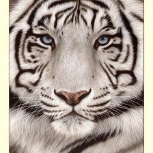 Схема вышивки «№2272464»