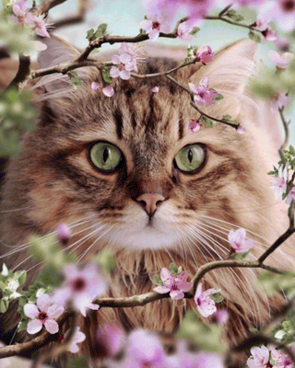 gato1 - gatos, animales - предпросмотр