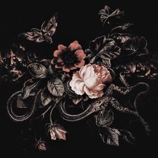 Схема вышивки «№2272966»