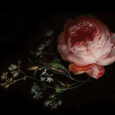 Схема вышивки «№2272970»