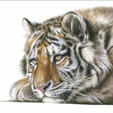 Схема вышивки «№2273083»