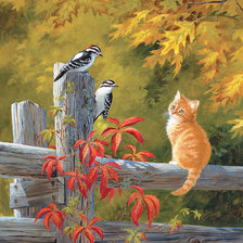 Схема вышивки «Рыженький котик»