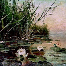 Схема вышивки «пруд»