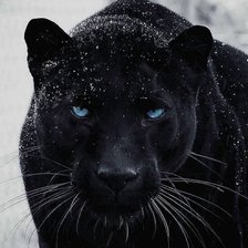 Схема вышивки «Взгляд»