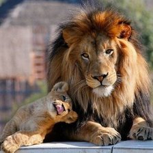 Схема вышивки «Папа»