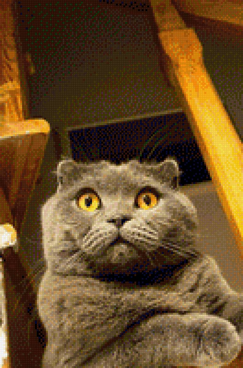 Mahmut - cat - предпросмотр